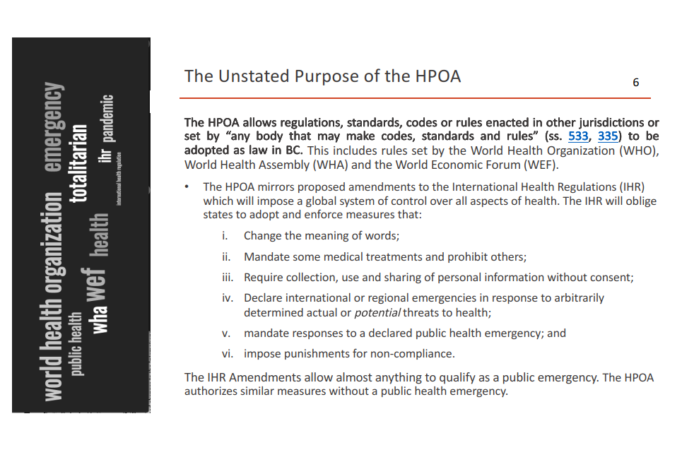 Image shows a slide detailing the unstated purpose of the health professions and occupations act